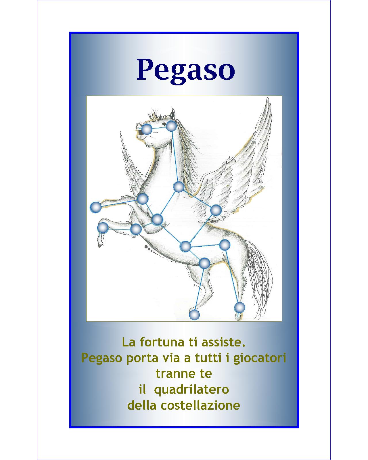 019. Pegaso-Model (Coach M.C. Petroli)